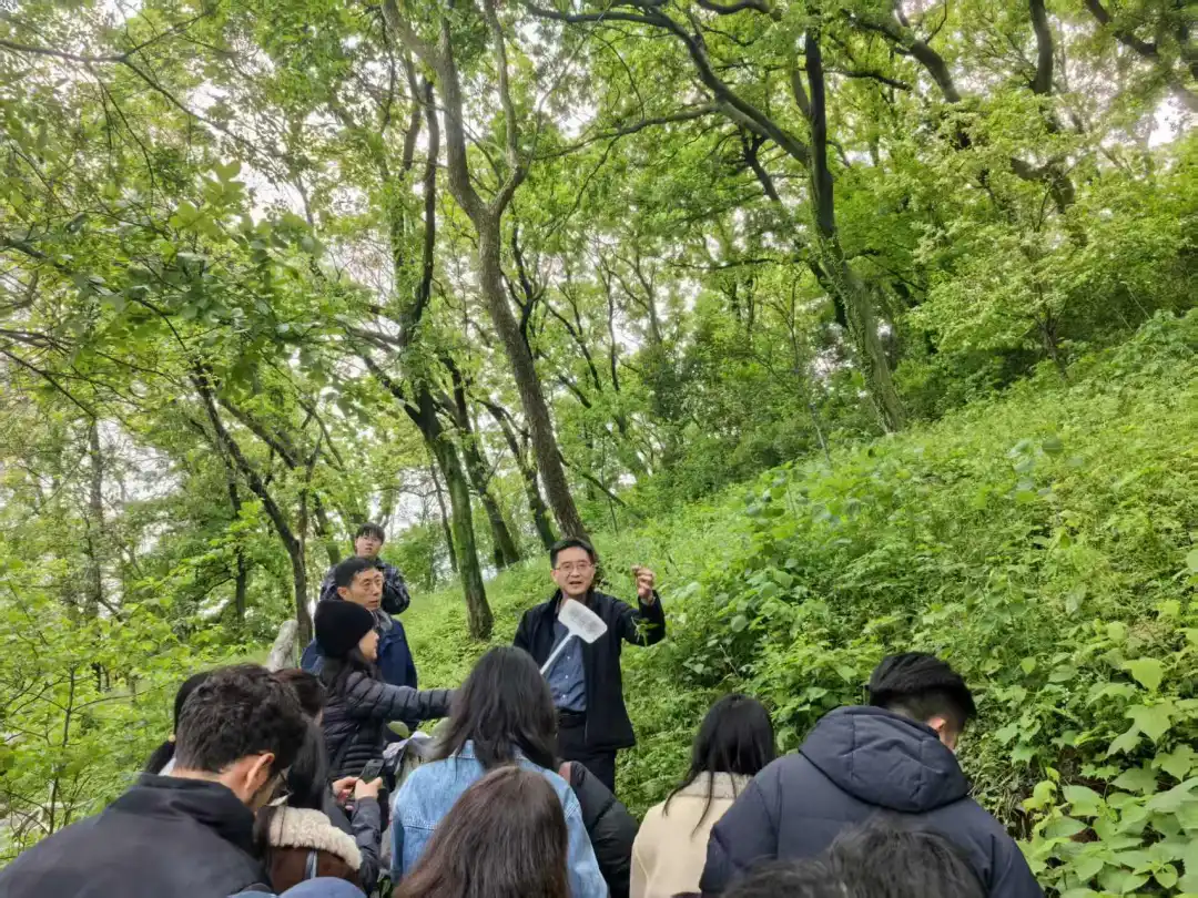 足球赔率分析