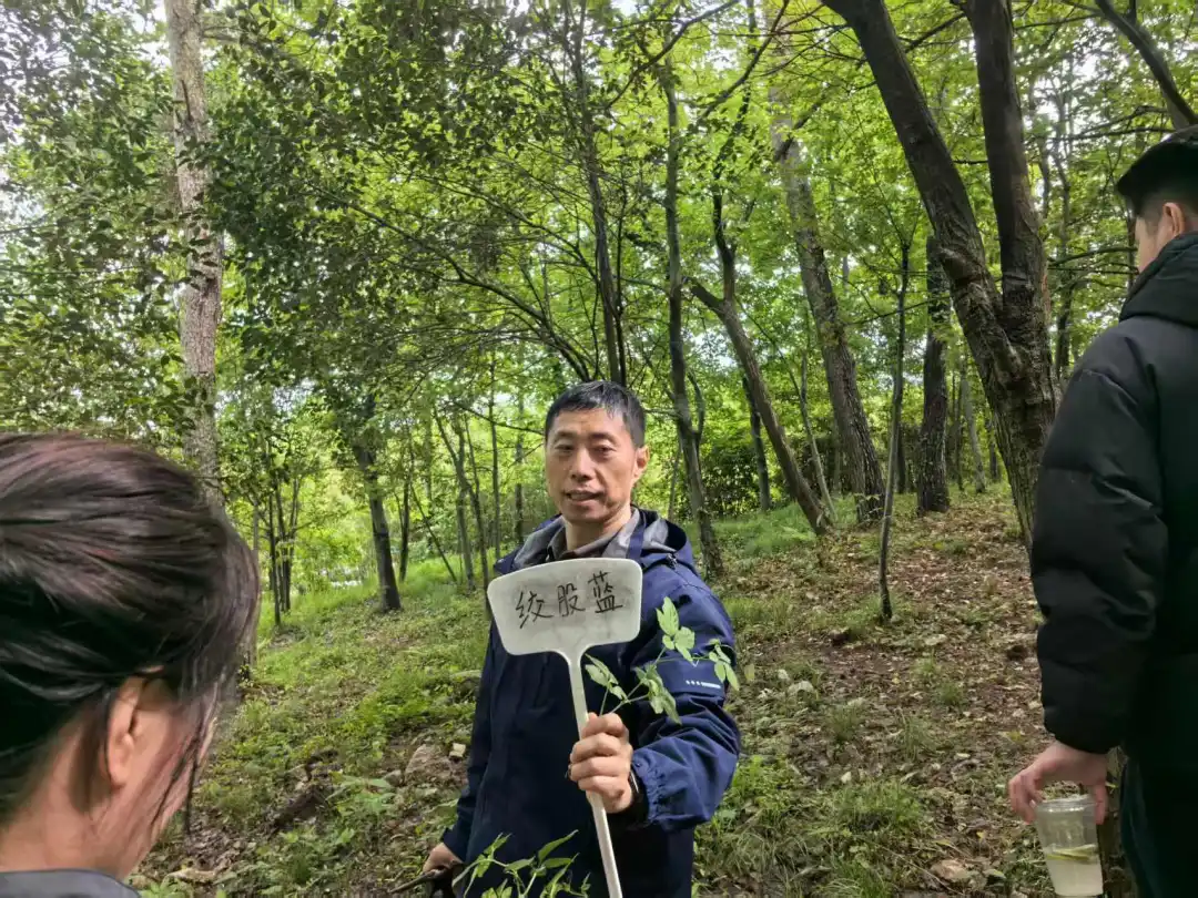 足球赔率分析